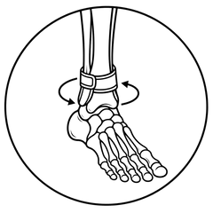 Ankle Stability